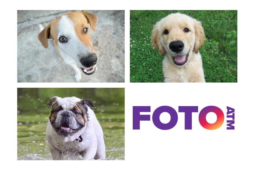 FotoATM 4x6 four-up photo print